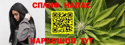 молекула духа Лесосибирск