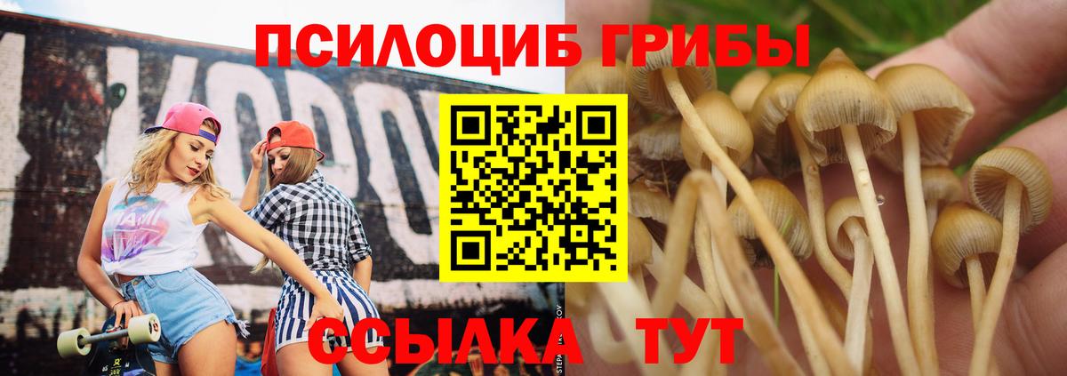 Екатеринбург  Псилоцибиновые грибы GOLDEN TEACHER  Вход с VPN 